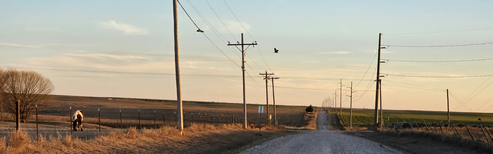Lawton Attractions