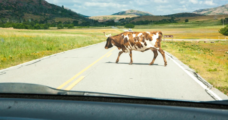 Best 10 Attractions in Lawton, OK